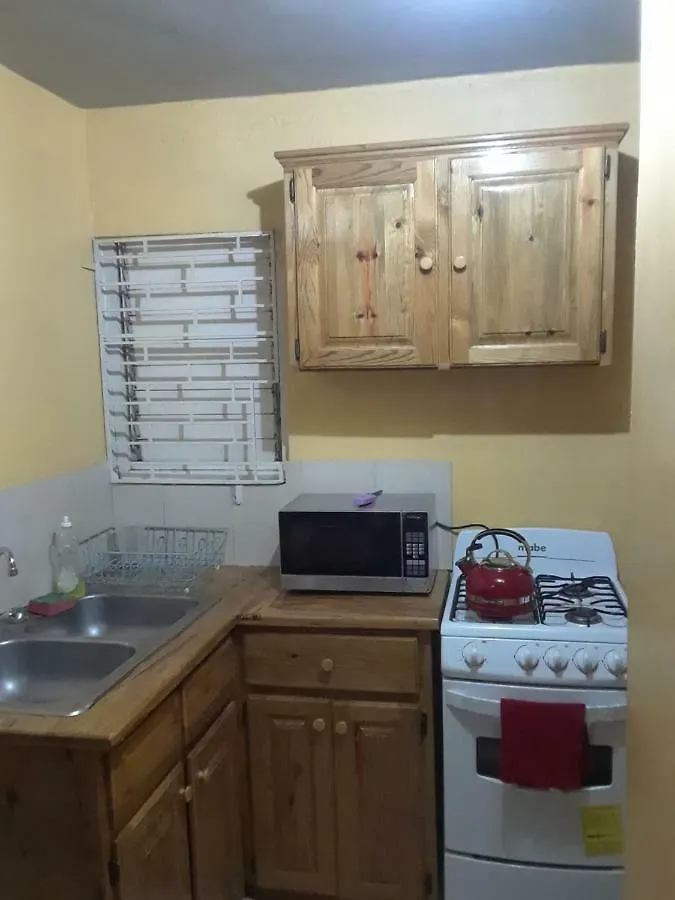 Glenhope Cottage 4 金斯敦 牙买加